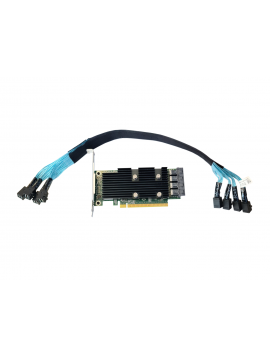 Controller NVME to Dell R630 0GY1TD High profile + Cabble SAS